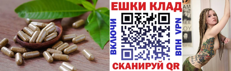 Купить закладки  Фокино  Ecstasy Дубай 