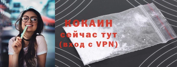 Альфа ПВП Дмитров