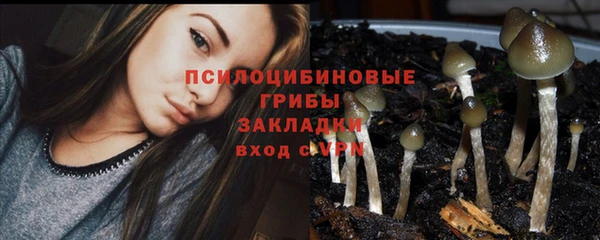 мескалин Дмитриев