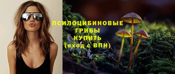 мескалин Дмитриев