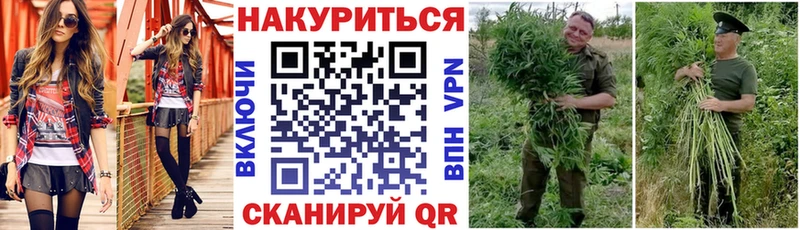Купить закладки  Фокино  Шишки марихуана AK-47 
